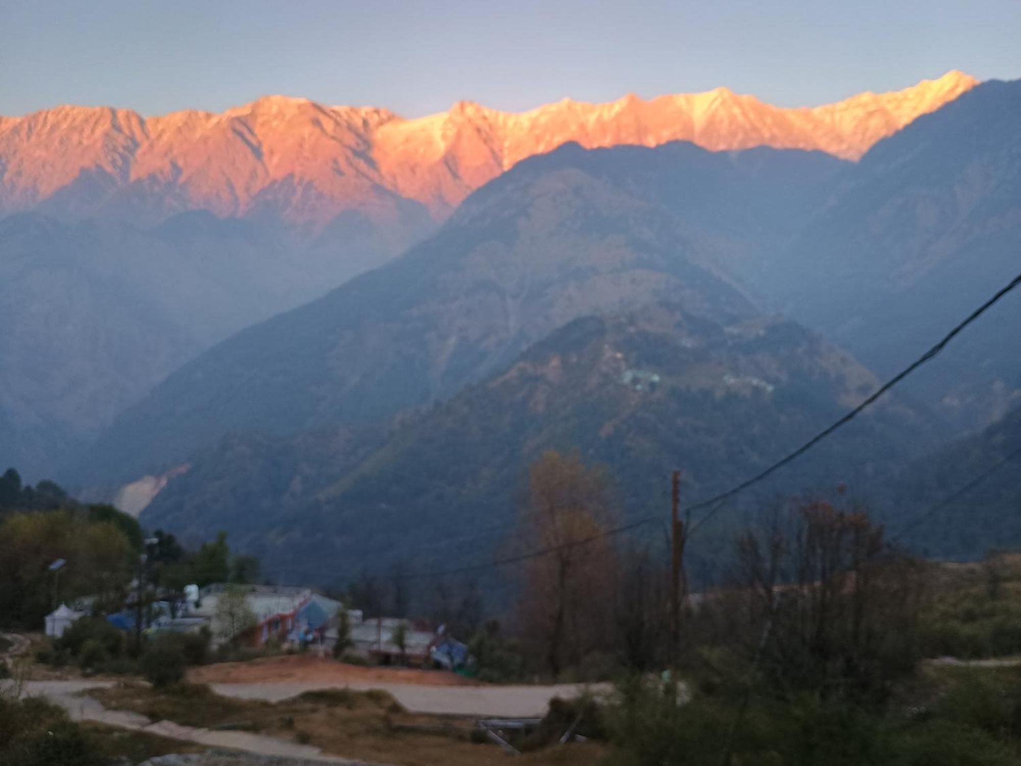 Mcleodganj Diaries Guest House 다람샬라 외부 사진