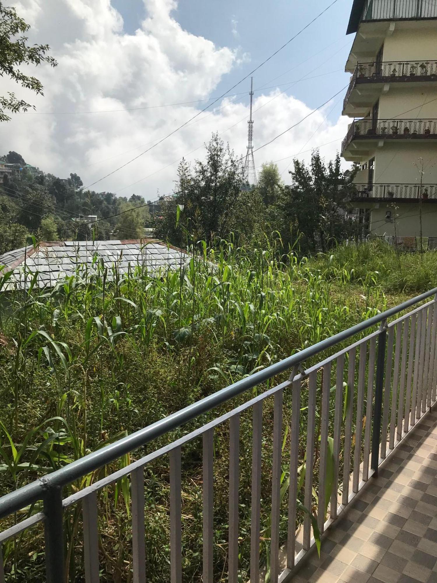 Mcleodganj Diaries Guest House 다람샬라 외부 사진